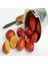 Tüplü Avustralya Blood Lime Limon Fidanı Meyve Verme Durumunda 5