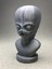 Alien Bust - Uzaylı Büst - Ürün Renklidir - 11X11X20CM 1