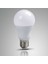 Güneş Paneli Için 12 Volt Akü ile Çalışan Ampül Işık 12V 12 Volt Beyaz LED Let Ampul Işık Aydınlatma 1