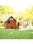 Isı Yalıtımlı Ahşap Köpek Kulübesi (Large) 4