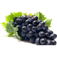Tüplü Erkenci Yüksek Aromalı Black Magic Üzümfidanı