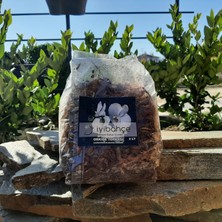 Iyibahçe Orkide Toprağı 2l