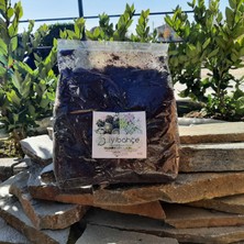 Iyibahçe Kaktüs & Sukulent Toprağı 3l