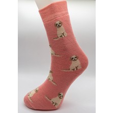 Ciho Socks Daily 6 Çift Kadın Tam Havlu Yumuşak Eğlenceli Köpek Desenler Kışlık Soket Çorap