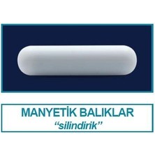 Isolab 057.01.080 Manyetik Balık  80 x 9 mm 6 Adet