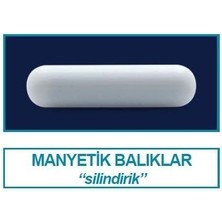 Isolab 057.01.070 Manyetik Balık  70 x 9 mm 6 Adet