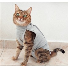Stylie Kedi Ameliyat Sonrası Giysisi