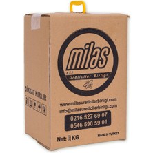 Milas Üreticiler Birliği Çam Balı 5 kg