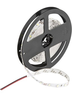 Cata 5 Metre 12 Volt 10 Çipli Iç Mekan Beyaz Işık Şerit Led (CT-4480)