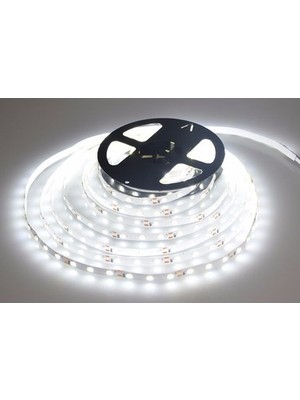 Cata 5 Metre 12 Volt 10 Çipli Dış Mekan Beyaz Işık Şerit Led (CT-4487)