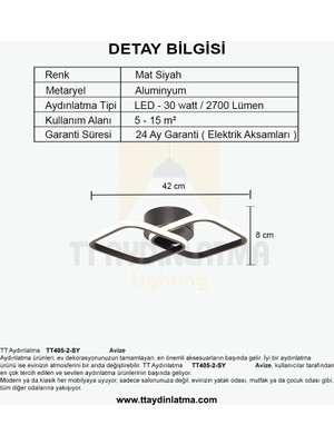 TT Aydınlatma TT405-2-SY Mat Siyah 2'li Kare LED Avize