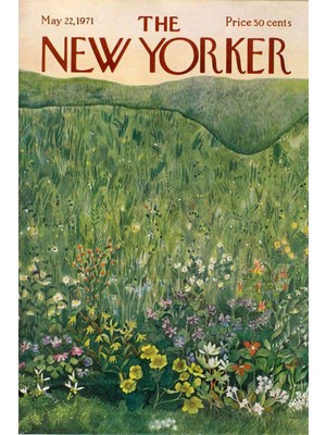 Buka Shop Vintage Botanical 60' Lı Duvar Posteri Seti