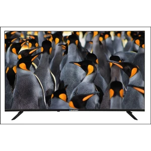 BL50145G 50" 127 Ekran Uydu Alıcılı 4K Ultra HD Google Smart LED TV