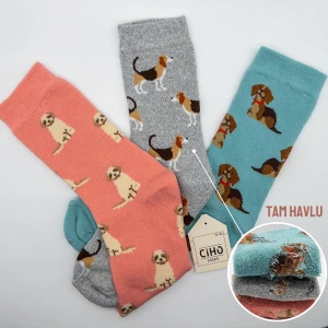 Ciho Socks Daily 3 Çift Kadın Tam Havlu Yumuşak Eğlenceli Köpek Desenler Kışlık Soket Çorap