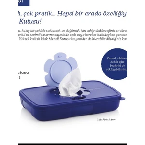 Islak Mendil Kutusu