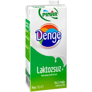 Denge Laktozsuz Süt 1 L