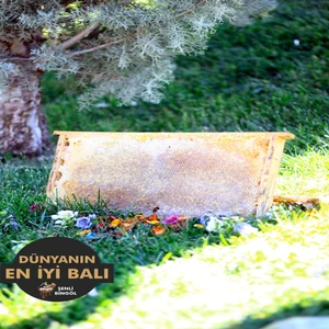 Şenli Bingöl Düz Petek(1kg) Bal