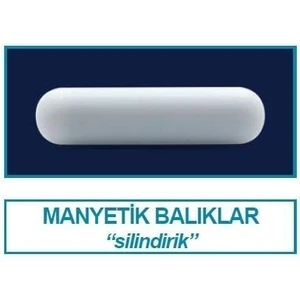 057.01.040 Manyetik Balık  40 x 8 mm 10 Adet