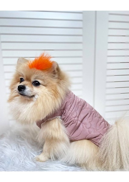 /Kedi Köpek Kıyafeti/Pembe Köpek Yeleği