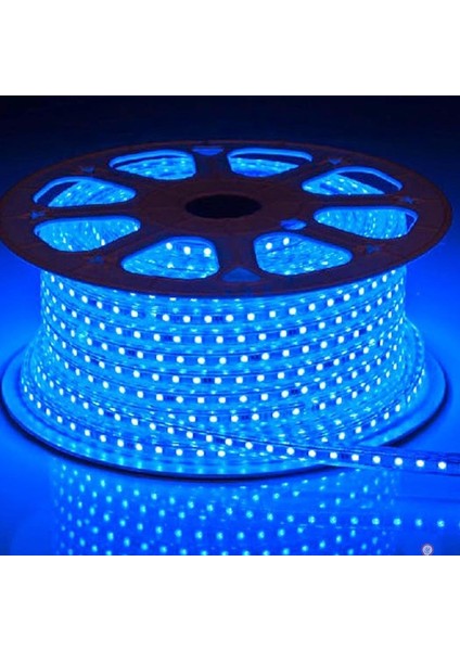 9*16 Hortum Led 100 Metre Mavi 220 Volt (Minimum 1 Mt. Kesilebilir)