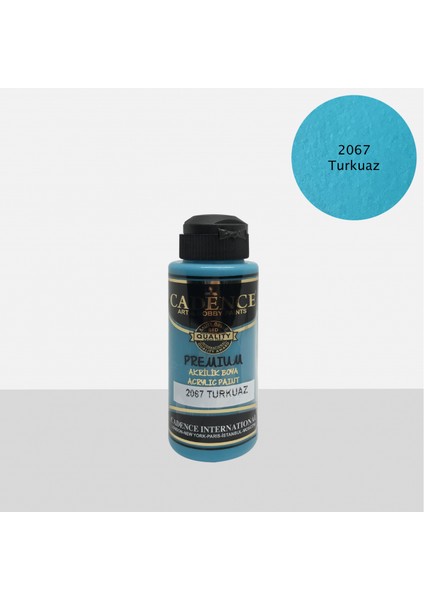Premium Boya Turkuaz 120ML N:2067