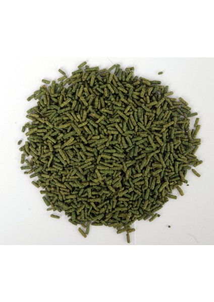 Kaplumbağa Yemi Sticks ve Vitamin Seti 2X250 ml Bonisa