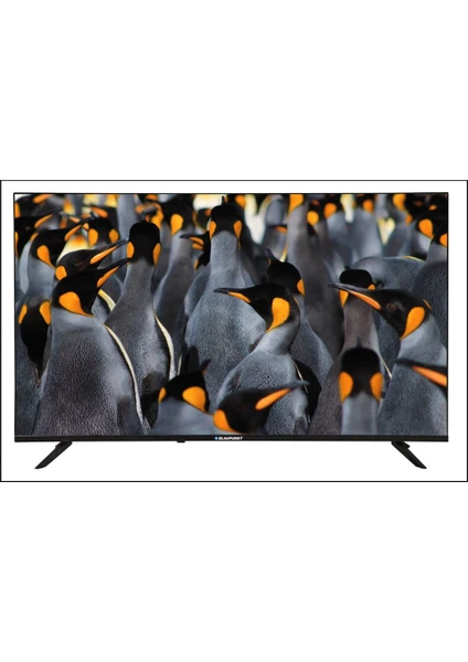 BL50145G 50" 127 Ekran Uydu Alıcılı 4K Ultra HD Google Smart LED TV