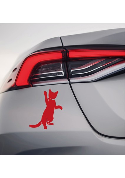 Pati Kaldıran Kedi Oto Araba Sticker