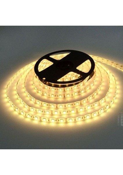 5 Metre 12 Volt 10 Çipli Iç Mekan 4000 Kelvin Şerit Led (CT-4486)