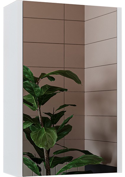 Banos Banyo Roomart Kulpsuz Tek Kapaklı Mat Beyaz 50 cm Aynalı Banyo Üst Dolabı