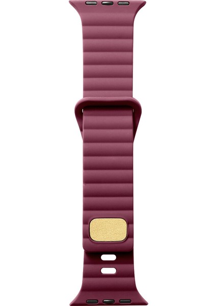 Apple Watch 42 mm Için Düz Desenli Silikon Kayış-Kordon Krd-73