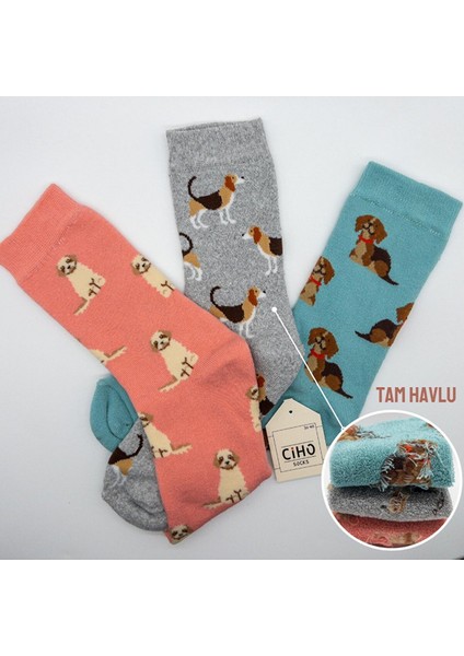 Ciho Socks Daily 3 Çift Kadın Tam Havlu Yumuşak Eğlenceli Köpek Desenler Kışlık Soket Çorap