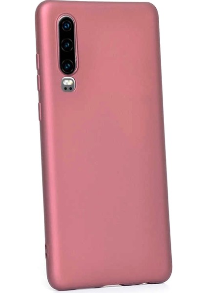 Huawei P30 Kılıf Premier Silikon Esnek Koruma+Nano Glass Mürdüm