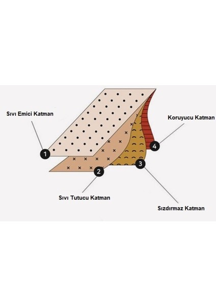 Regl Destek Külodu (Tekli Paket) Özel Gün Külodu indirimleri