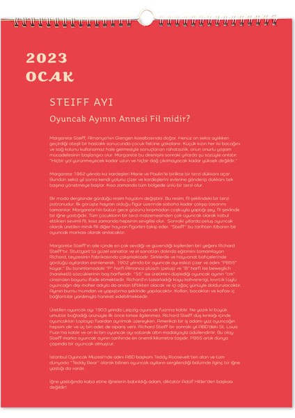 2023 Nesin Çocuk Takvimi