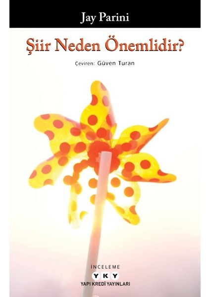 Şiir Neden Önemlidir? - Jay Parini