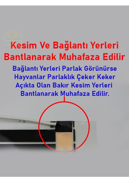 Karbon Film Isıtıcı 80 x 25 cm Karbon Isıtıcı Şok Gazi Kuluçka fırsatları