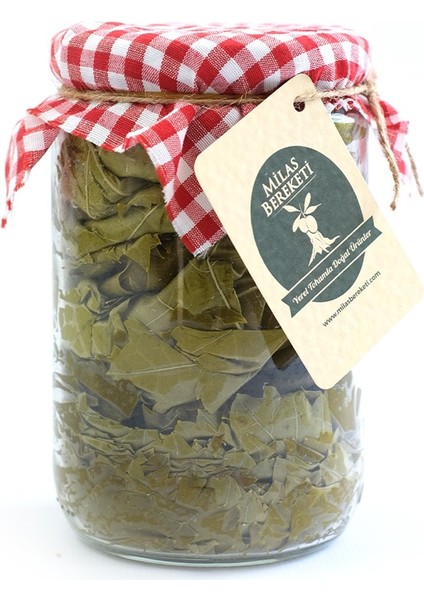 Asma Yaprağı Susuz Tuzsuz