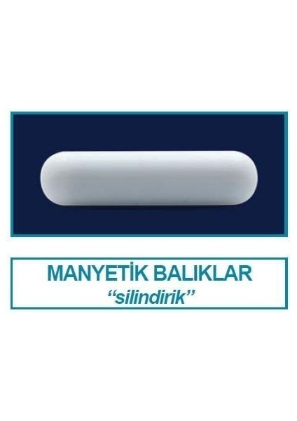 057.01.050 Manyetik Balık 50 x 8 mm 6 Adet