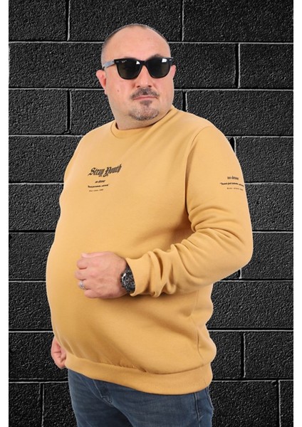 Erkek Sweat Stray South 22730 Vizon