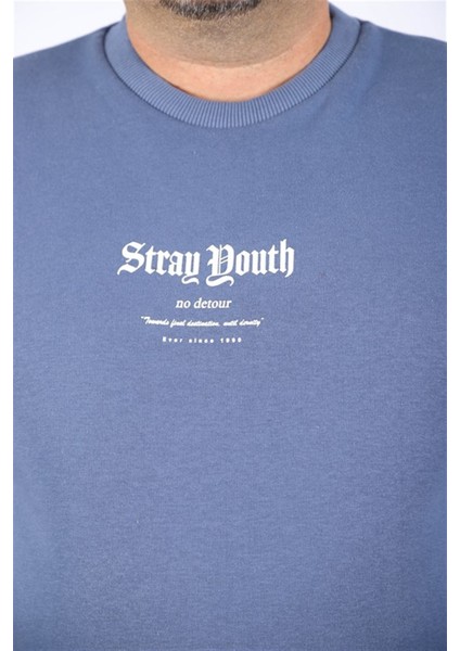 Erkek Sweat Stray South 22730 Mavı modelleri