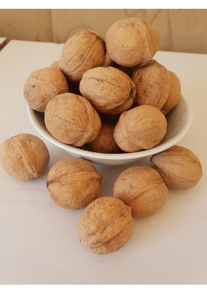 Aşısız Kabuklu Ceviz 5 kg fiyatları