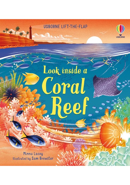 Look Inside A Coral Reef