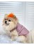 /Kedi Köpek Kıyafeti/Pembe Köpek Yeleği 3