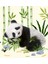 Mini Hayvan Masalları 3 Kitap - Tavşan - Panda - Penguen 3