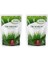 2 Adet Ulusoy 6m Mix Çim Tohumu Karışımı 1kg 1