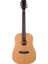 Fw-1ns Akustik Gitar (Natural) 1