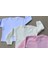 Üst Badi Uzun Kol (3 Lu Paket) (Beyaz,krem,pembe) 2