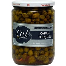 Çal Garası Çalgarası Kaparı Turşusu 300 gr