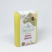 Pleione Soaps Gliserinli Kavun Sabunu